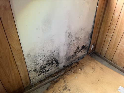 cincinnati Water Damage image 1