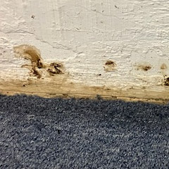 Hamilton Water Damage 3