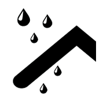 Mold Damage from Leaky Roof