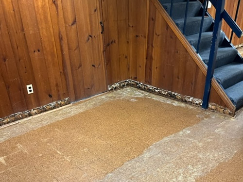 west-chester Water Damage image 3