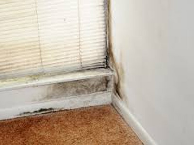 Water Damage Response