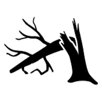 Tree Damage Clean Up