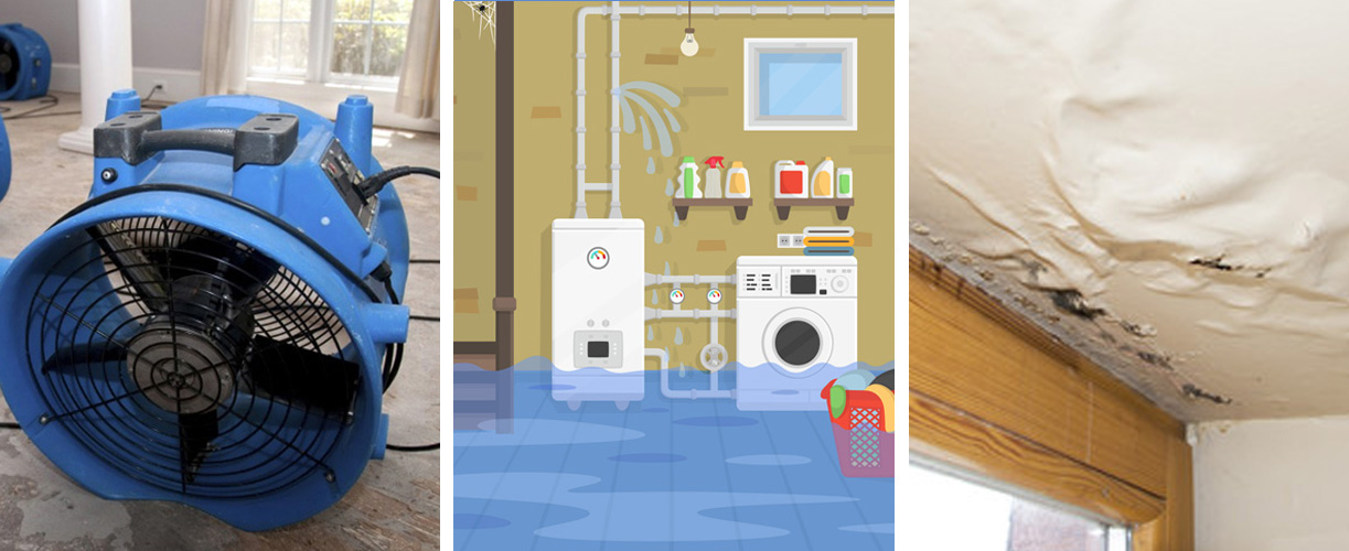 Water damage cleanup services in Xenia